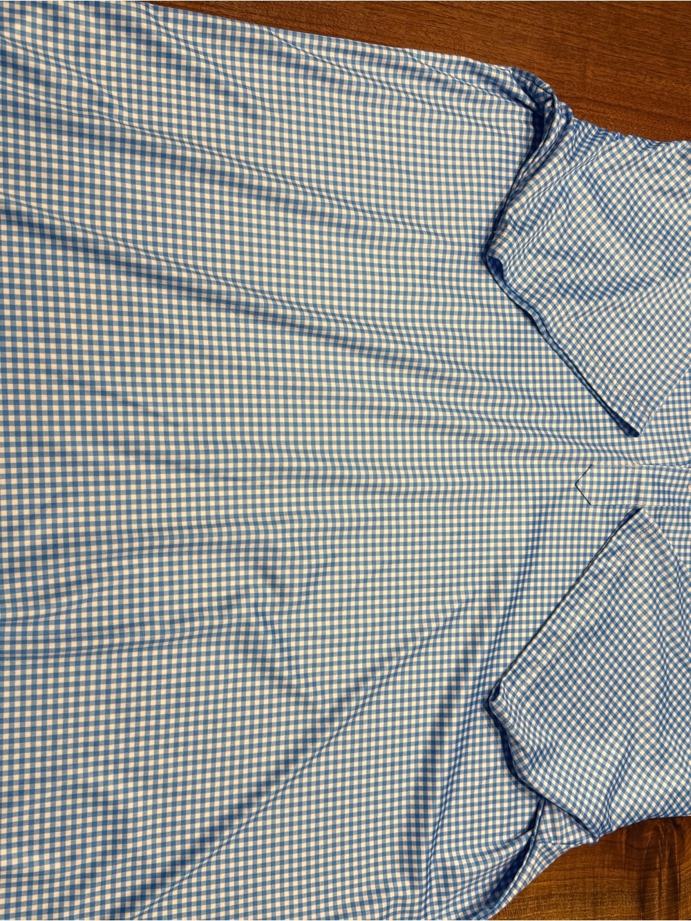 Classic Light Blue Gingham Short-Sleeve Button-Down Shirt